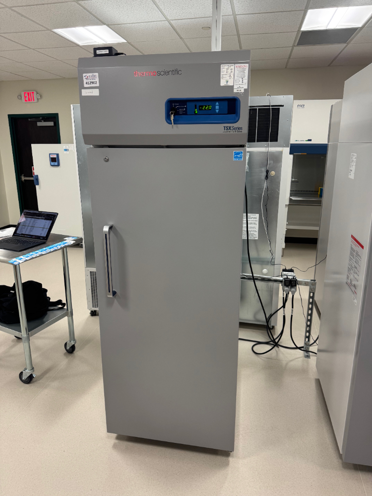 Image of Thermo TSX -20C Lab Freezer